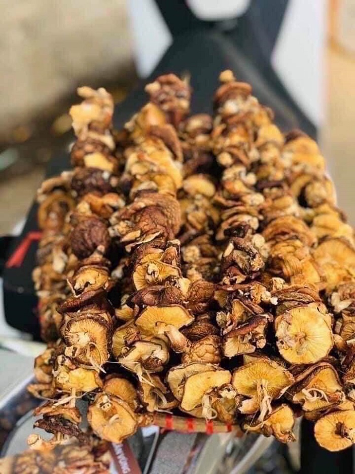 Ăn gì ở Sapa? Nấm hương rừng có thể mua về làm quà