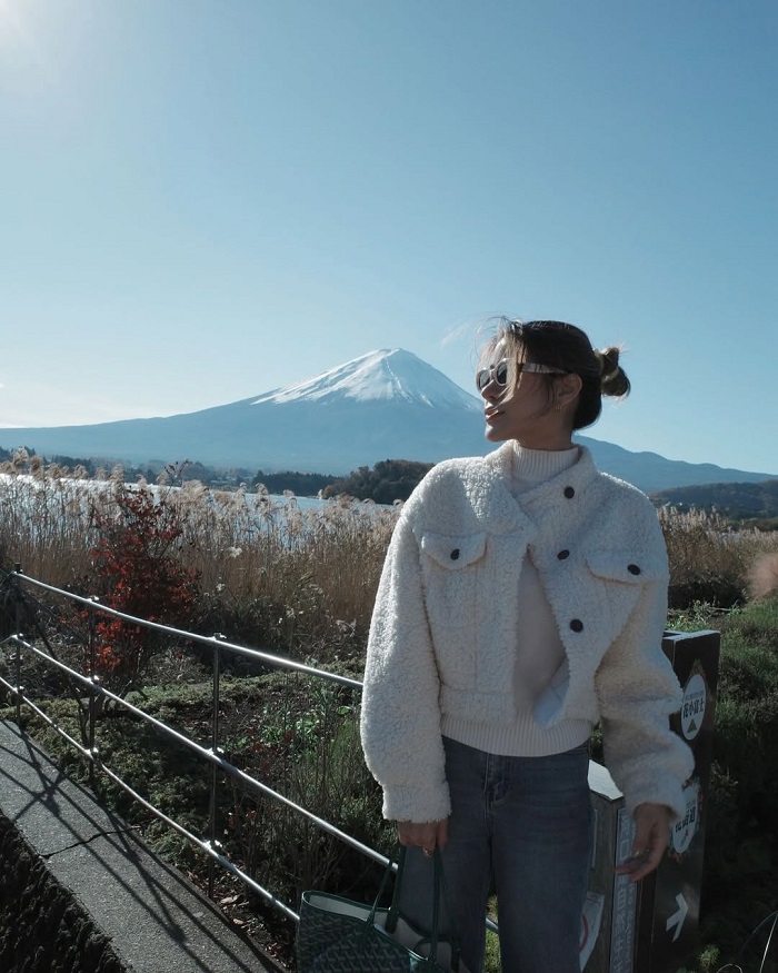 Núi Phú Sĩ là địa điểm không thể bỏ qua khi đến công viên hoa Oishi