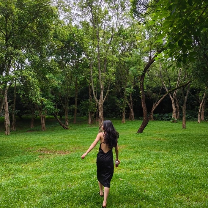 Khám phá công viên Liên Hoa Sơn là hoạt động ở công viên Liên Hoa Sơn