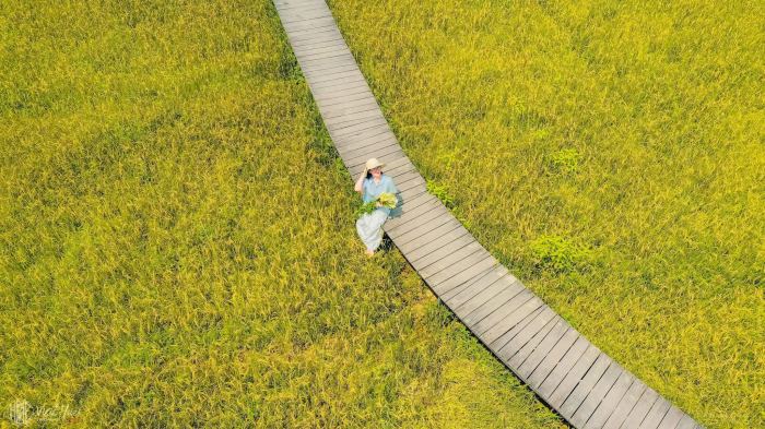 quán cafe view ruộng lúa ở Huế Dốc Hồng Garden