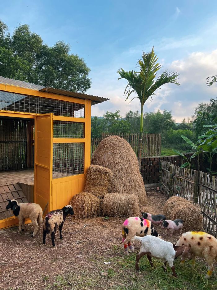 quán cafe view ruộng lúa ở Huế Dốc Hồng Garden