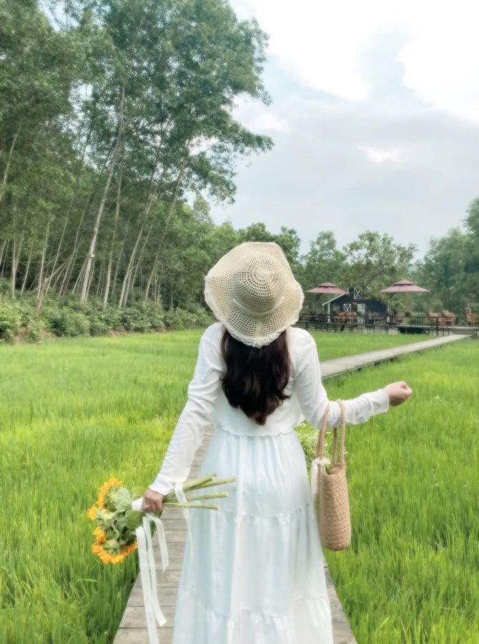 quán cafe view ruộng lúa ở Huế Dốc Hồng Garden