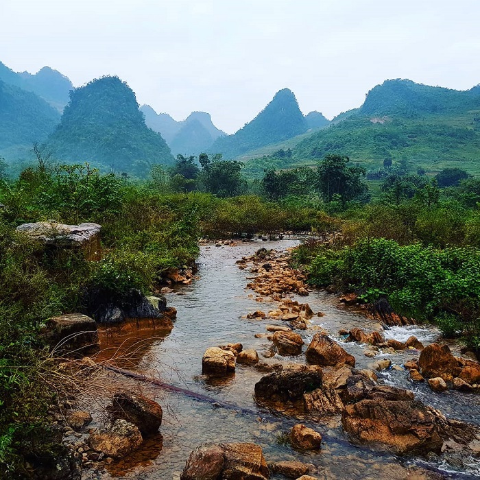 Thông Nông Cao Bằng mang đến một bức tranh đầy chất thơ