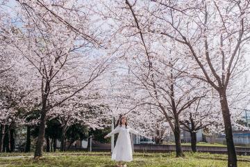 Ghé công viên Arakogawa để thấy Nhật Bản đẹp dịu dàng thế nào!