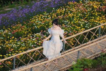 Lên khu du lịch Pu Phađin - Điện Biên, thưởng hoa chụp ảnh thả ga 