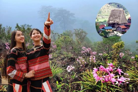 Mùa địa lan ở Vi Rơ Ngheo Măng Đen đẹp ngẩn ngơ tô điểm đại ngàn 