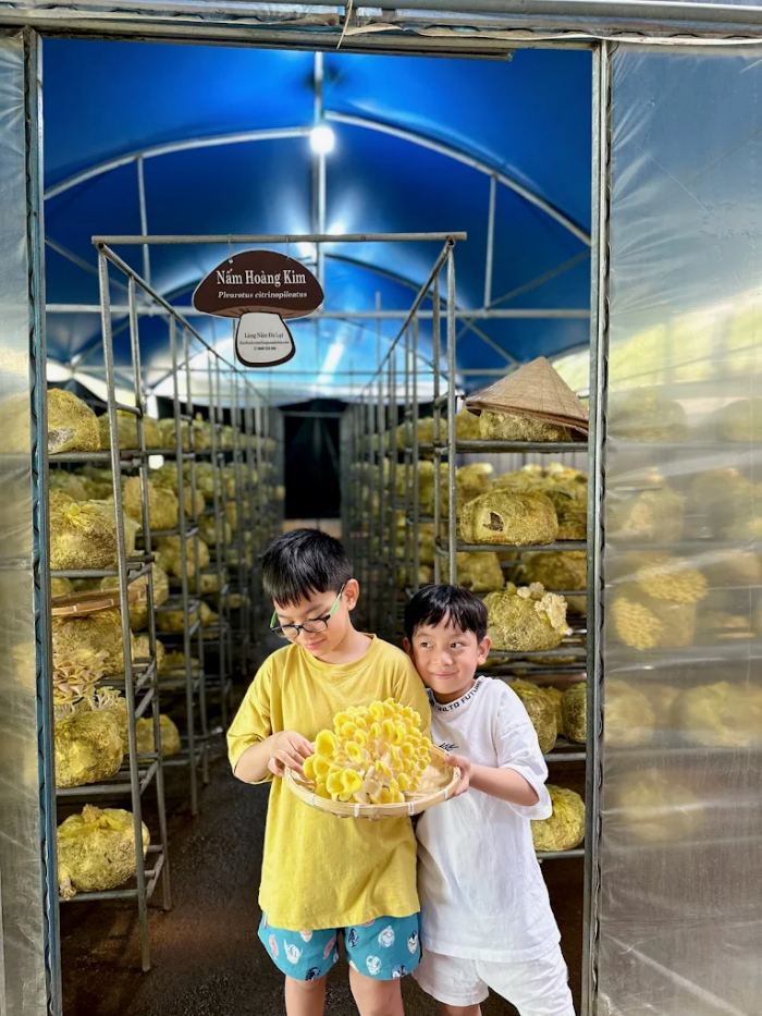 Làng nấm Đà Lạt