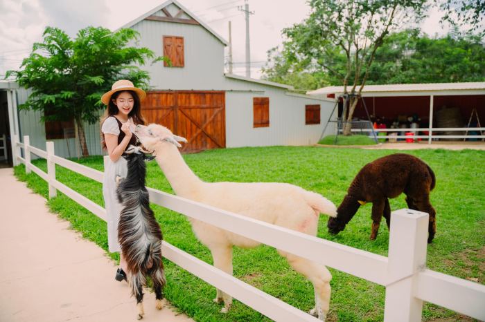 nông trại cún Puppy Farm Đà Lạt