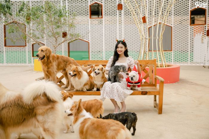 nông trại cún Puppy Farm Đà Lạt