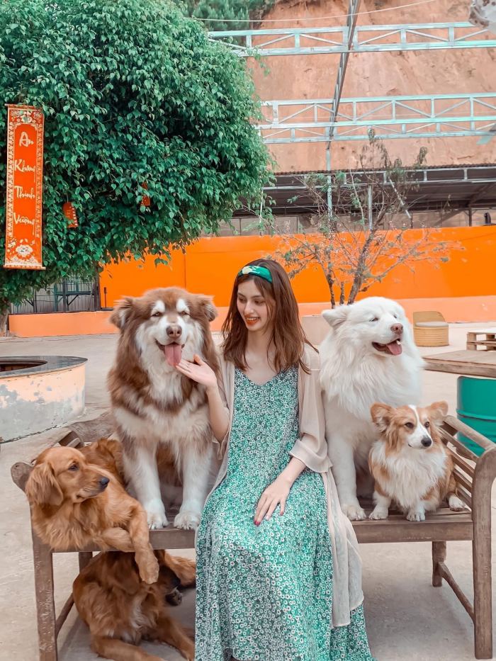 nông trại cún Puppy Farm Đà Lạt