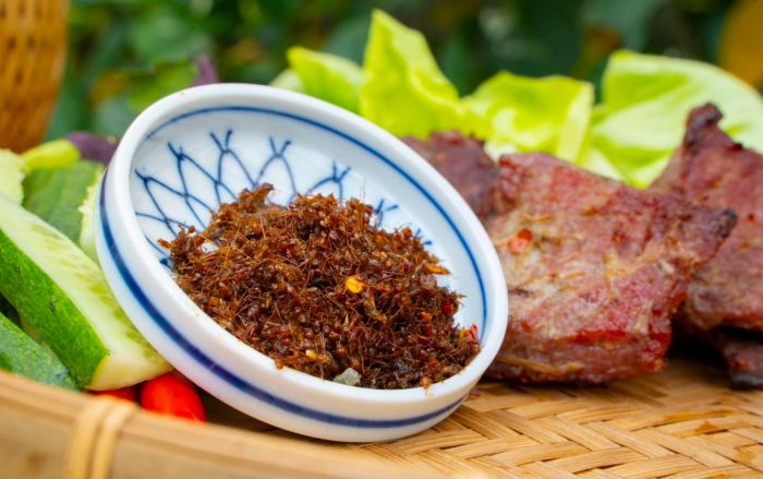 Ẩm thực Krông Pa Gia Lai muối kiến