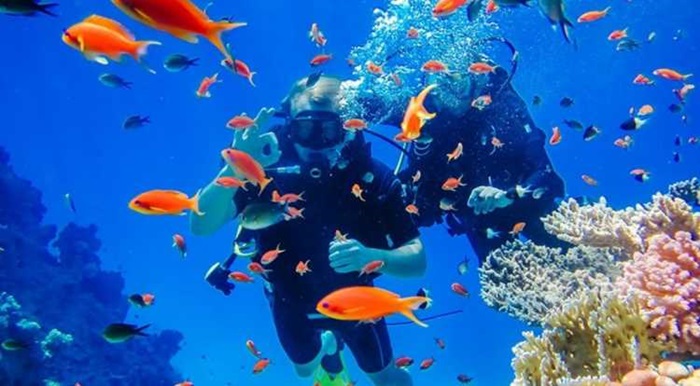 bến tàu du lịch Nha Trang - Tour 2 đảo VIP lặn biển