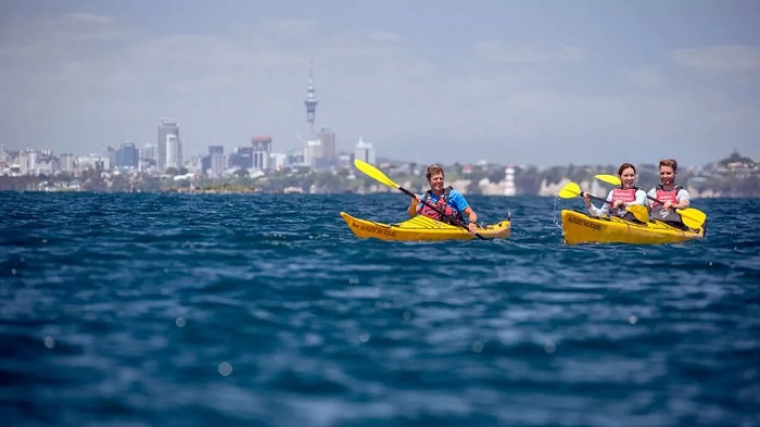 Thư giãn ở bến cảng Waitemata Harbour New Zealand