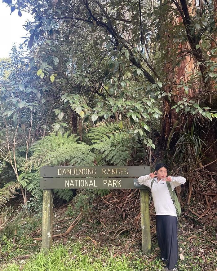 Khám phá công viên Quốc gia Dandenong Úc