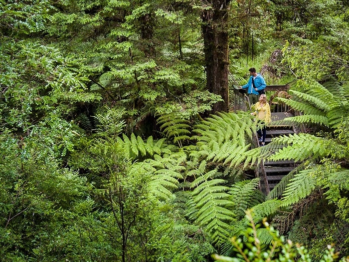 Khám phá công viên Quốc gia Dandenong Úc