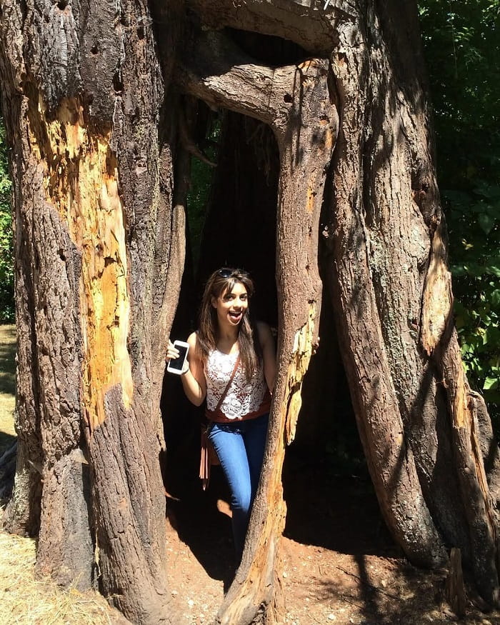 Tham quan các địa danh là việc cần làm ở công viên Stanley Vancouver