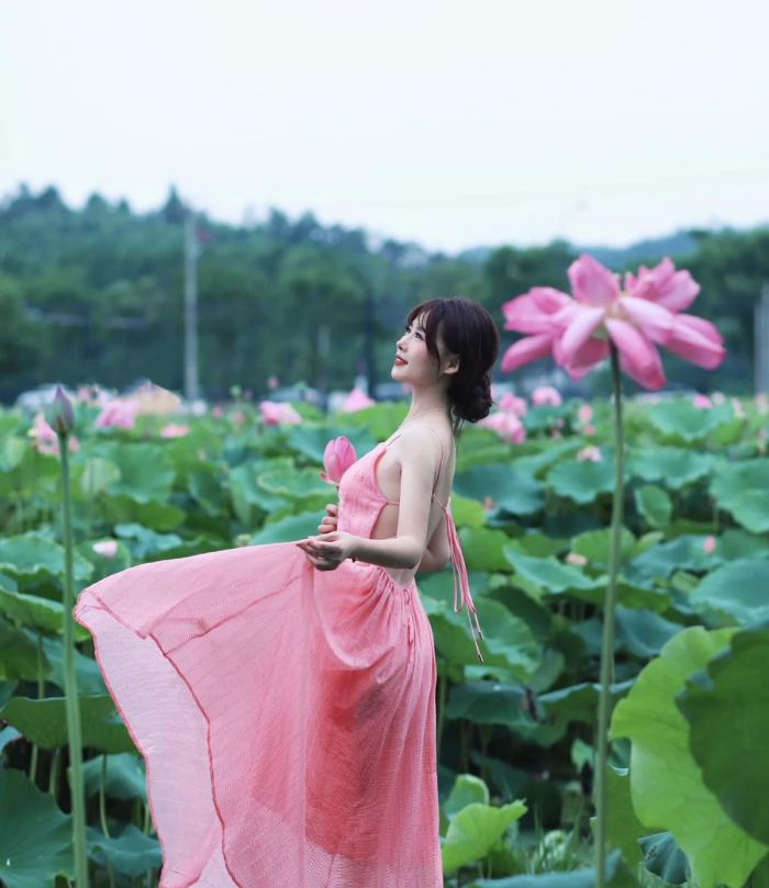 ngắm cảnh mùa sen hồ Ia Bang Gia Lai 