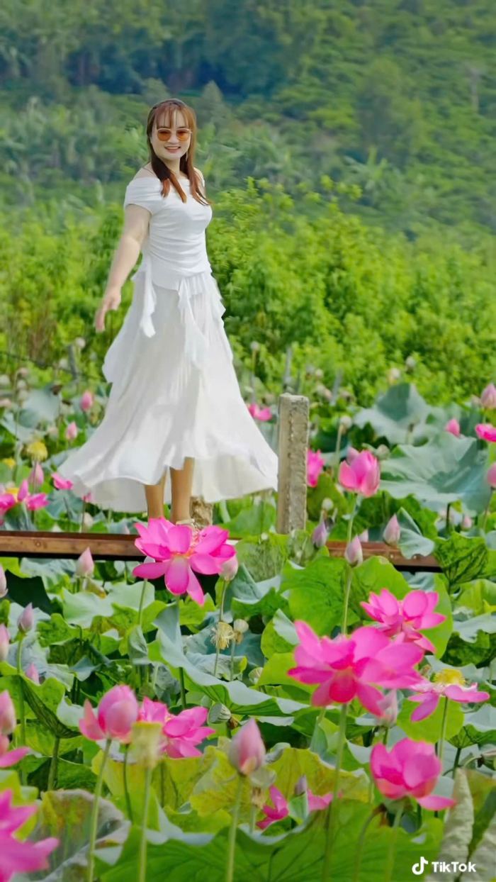 hoa nở mùa sen hồ Ia Bang Gia Lai 