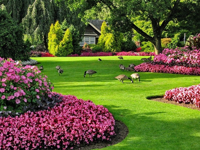 Tham quan khu vườn tươi tốt là việc cần làm ở công viên Stanley Vancouver