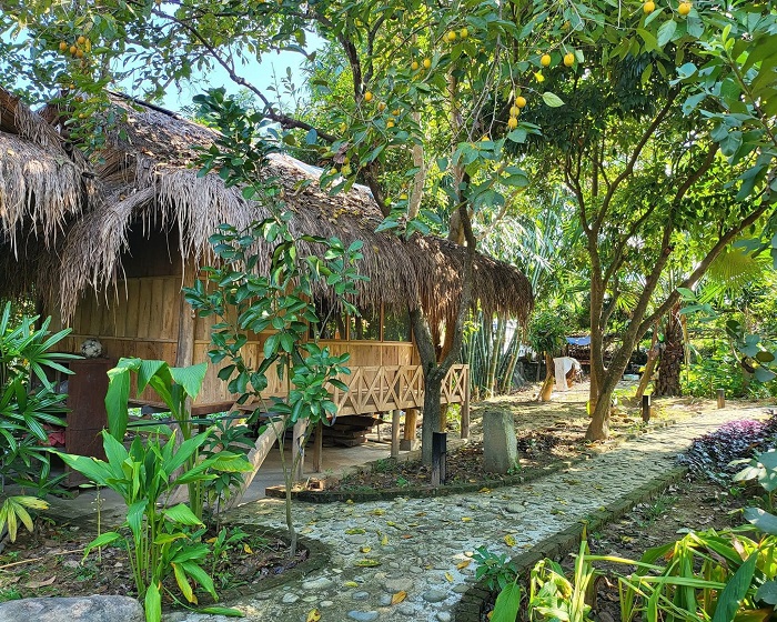 Mường Lò Farmstay Yên Bái ở đâu?