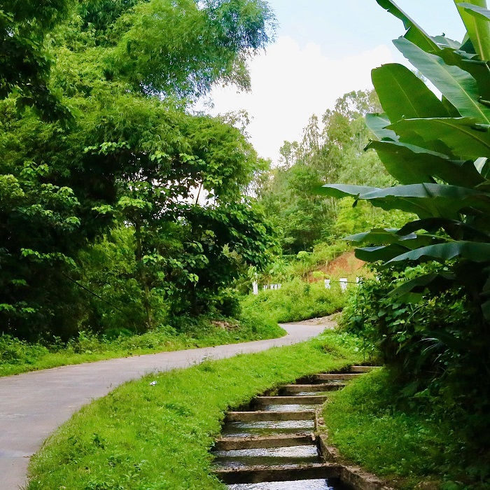 Mường Lò Farmstay Yên Bái là điểm đến của sự bình yên