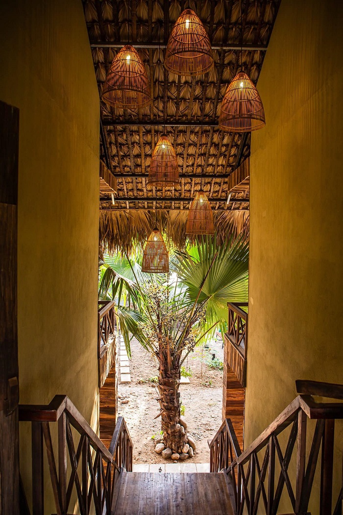 Mường Lò Farmstay Yên Bái là điểm dừng chân của yên bình, thư thái