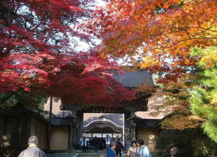 ngắm lá đỏ ở Wakayama - Đền Kongobuji