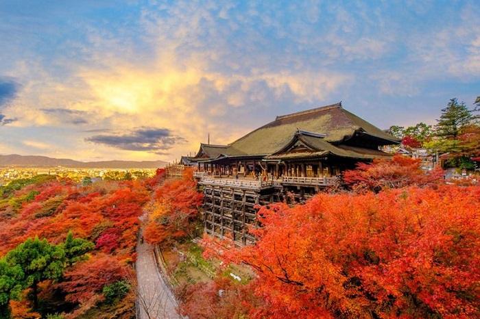 ngắm lá đỏ ở Wakayama - Đền Kongobuji