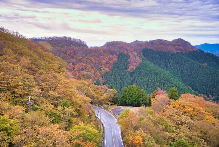 ngắm lá đỏ ở Wakayama - Đường chân trời Koya Ryujin