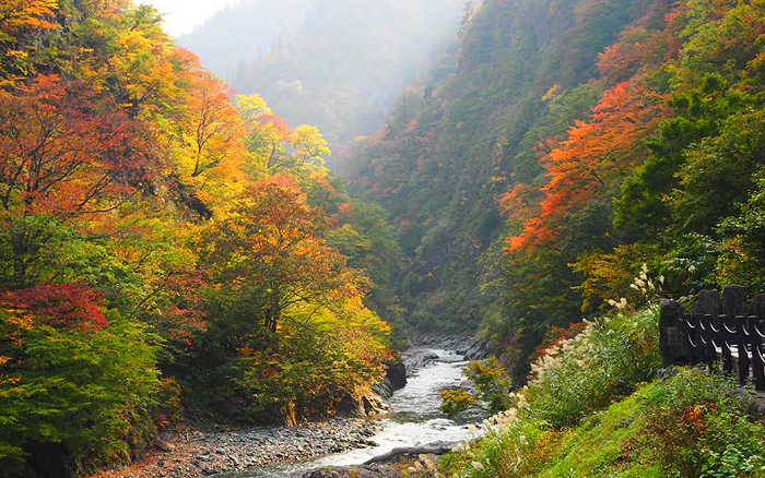ngắm lá đỏ ở Wakayama -Hẻm núi Kizetsu-kyo