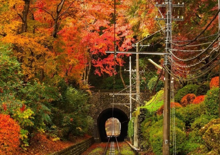 ngắm lá đỏ ở Wakayama -Kumano Kodo