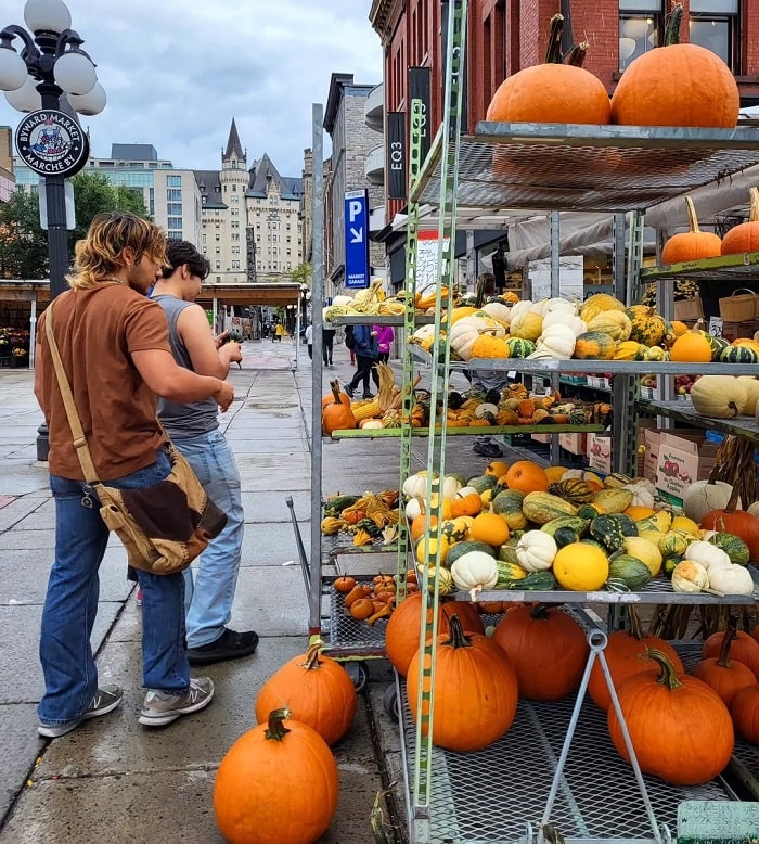 Khám phá các quầy hàng nông sản là hoạt động không thể bỏ lỡ khi đến chợ Byward Canada