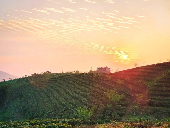 Skyline Farm Vườn Trên Mây nằm trên đỉnh đồi thơ mộng 