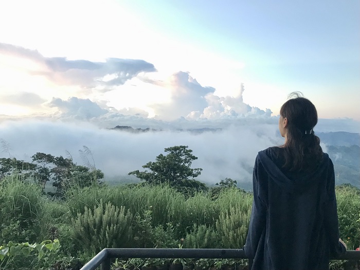 Skyline Farm Vườn Trên Mây thật tuyệt để sống chậm