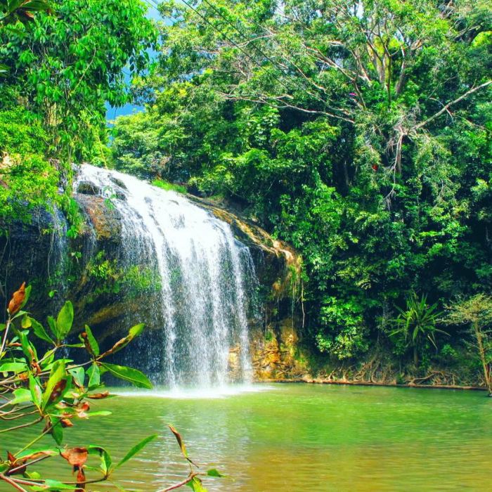  Du lịch thác Prenn Lâm Đồng 