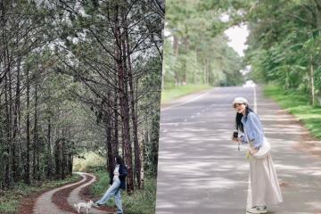 Dạo quanh những cung đường đẹp ở Măng Đen mê đắm vẻ bình yên dịu dàng