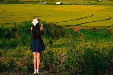 Du lịch Măng Đen Quảng Ngãi tháng 6 khám phá đại ngàn hoang sơ 