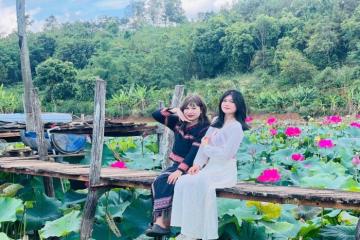 Rực rỡ mùa sen hồ Ia Bang Gia Lai mộng mơ bên miệng núi lửa triệu năm