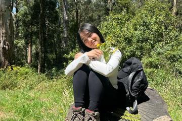 Có 1 góc bình yên giữa lòng nước Úc mang tên Công viên Quốc gia Dandenong