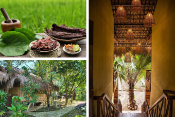 Lên Mường Lò Farmstay Yên Bái Lào Cai để tận hưởng những khoảnh khắc an yên