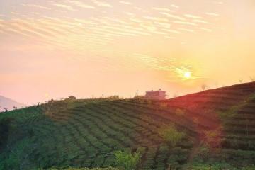 Skyline Farm Vườn Trên Mây – chốn bình yên xinh đẹp trên ngọn đồi cao