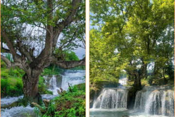 Suối Bản Mòn Mộc Châu trong xanh mát lành khiến dân tình ‘phát sốt’