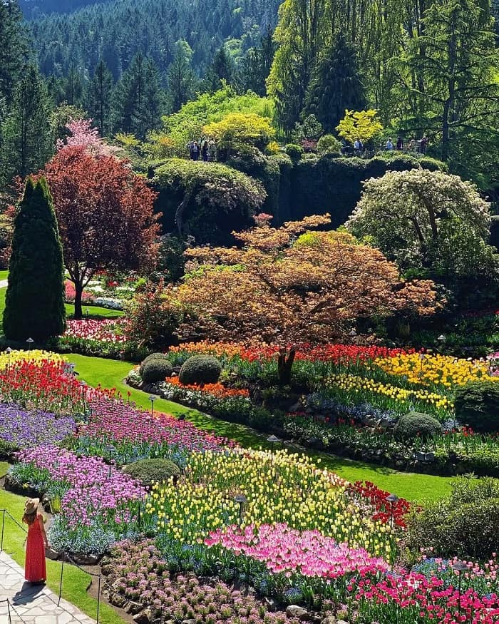 Vẻ đẹp vườn hoa Butchart Canada