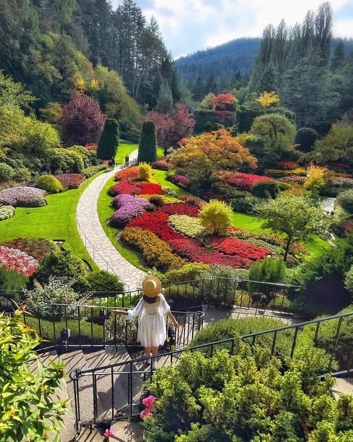 Vẻ đẹp vườn hoa Butchart Canada