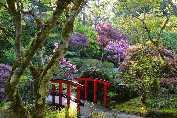 Khám phá Vườn Nhật Bản ở vườn hoa Butchart Canada