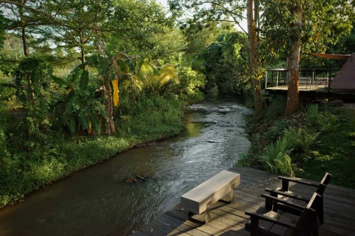 con suối đẹp ở Vũng Tàu Suối Láng Camp 