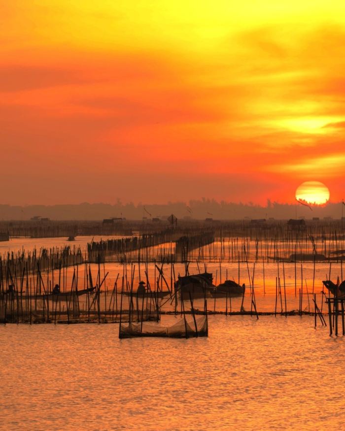  lịch trình 1 ngày ở Phá Tam Giang