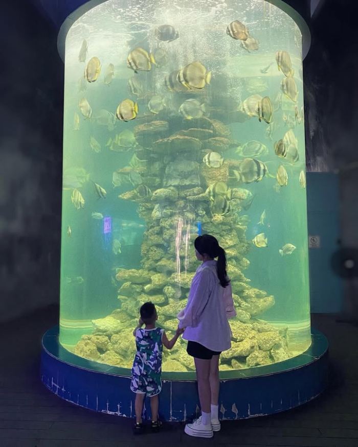 điểm du lịch cho gia đình ở Nha Trang Viện Hải Dương Học Nha Trang 