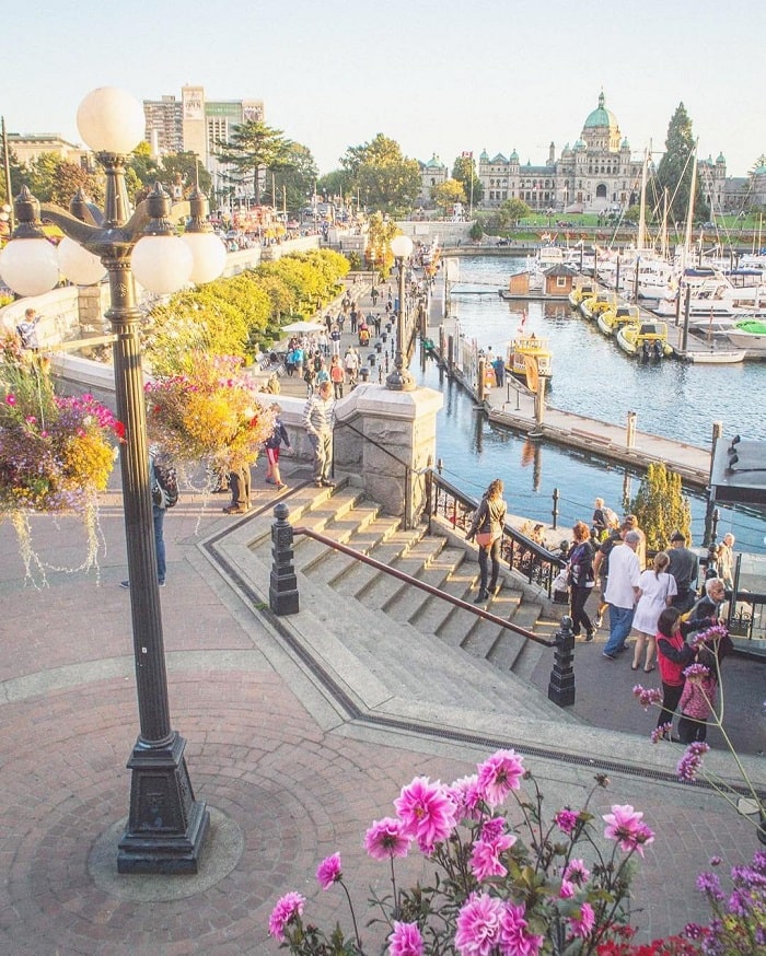 Đi dạo và ngắm cảnh là hoạt động phổ biến ở cảng Inner Harbour