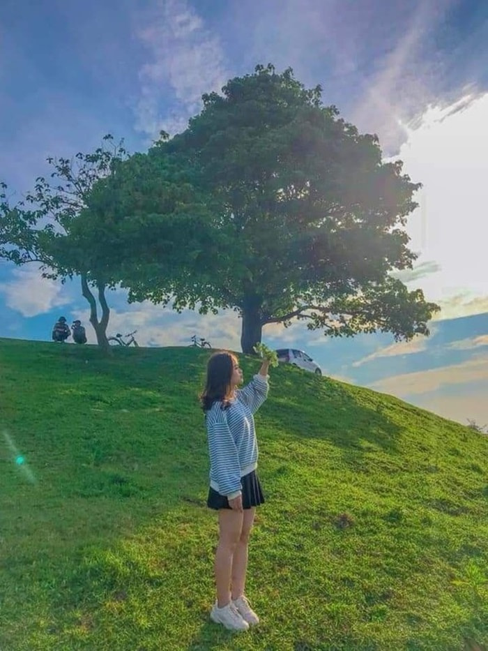 địa điểm chụp ảnh đẹp ở Bắc Ninh - Cây cô đơn bờ đê Hữu Chấp
